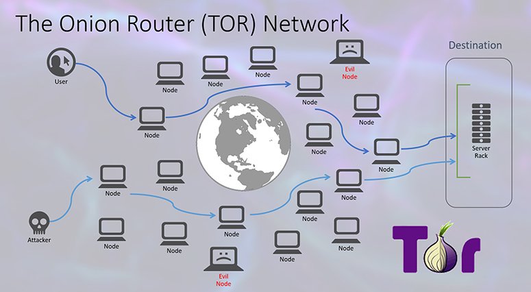 Illustration depicting how Tor ensures online anonymity